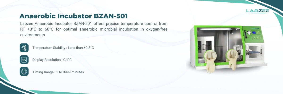 Anaerobic Incubator BZAN-501