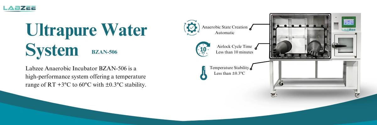 Anaerobic Incubator BZAN-506