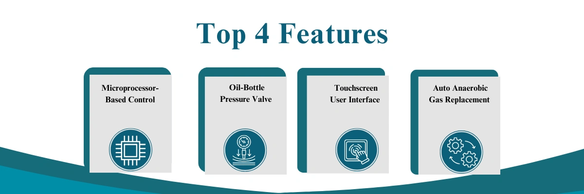 Anaerobic Incubator BZAN-506