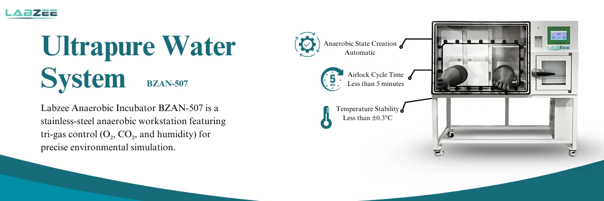 Anaerobic Incubator BZAN-507