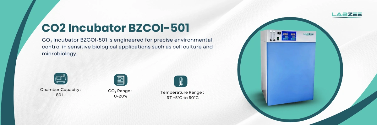 CO2 Incubator BZCOI-501