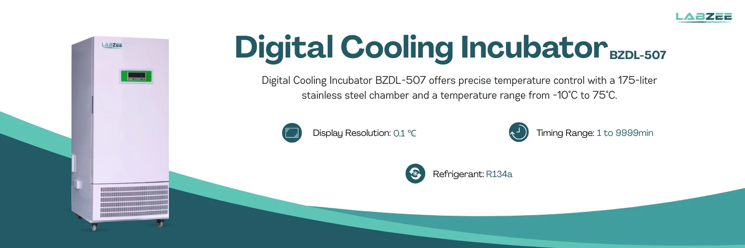 Digital Cooling Incubator BZDL-507