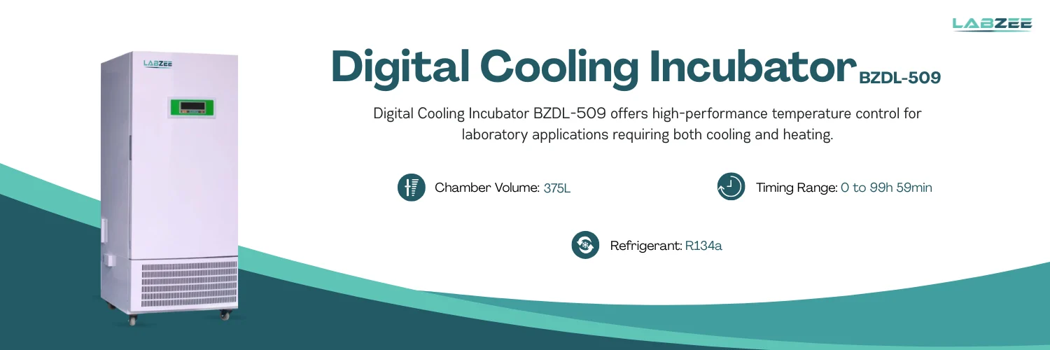 Digital Cooling Incubator BZDL-509