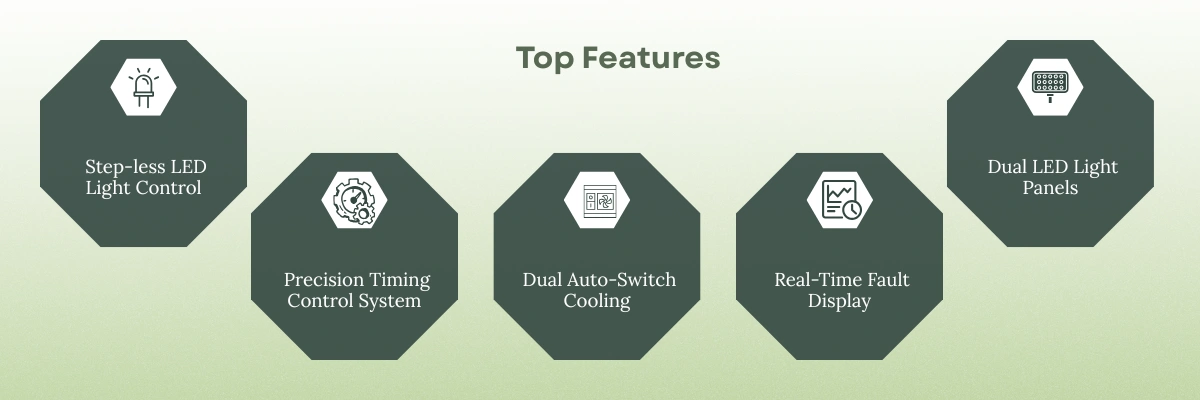 Light Growth Chamber BZGG-506