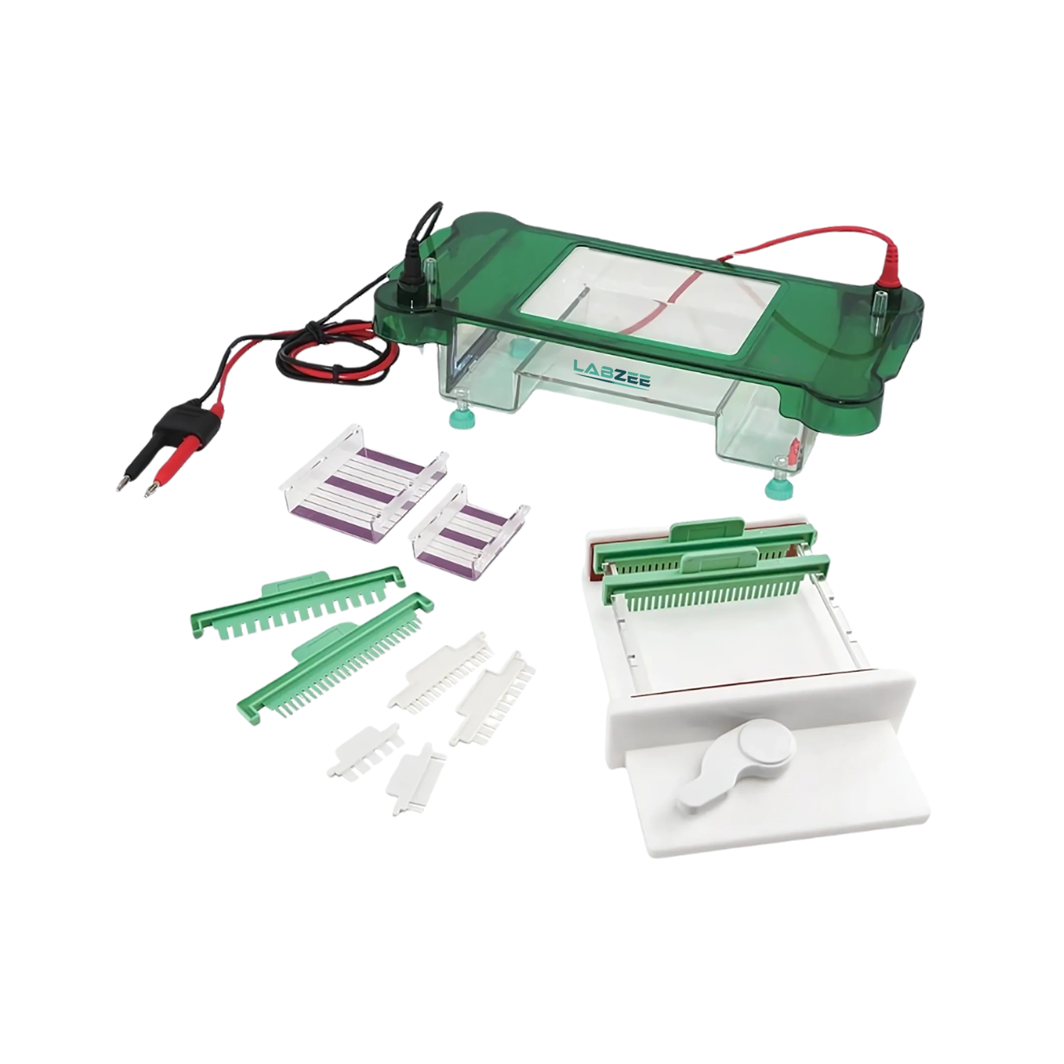 Horizontal Gel Electrophoresis System BZME-501