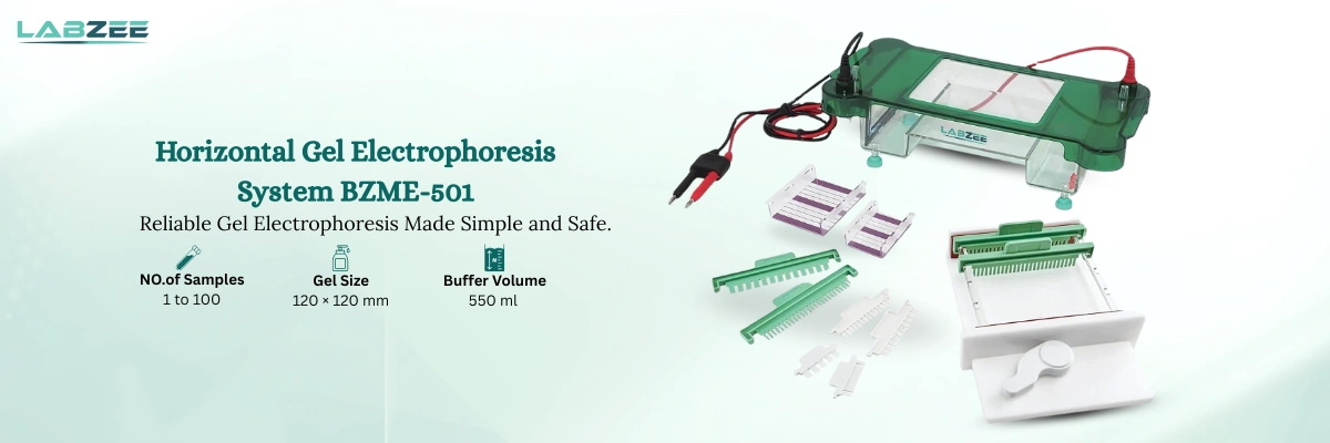 Horizontal Gel Electrophoresis System BZME-501