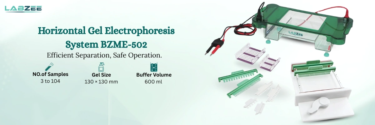 Horizontal Gel Electrophoresis System BZME-502