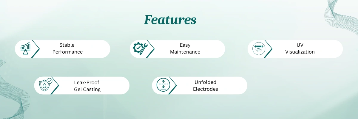 Horizontal Gel Electrophoresis System BZME-502