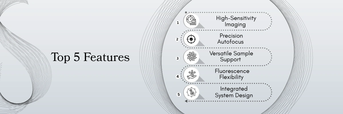 Multifunctional Imager BZMFI-502