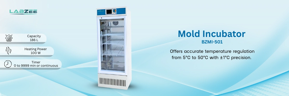 Mold Incubator BZMI-501