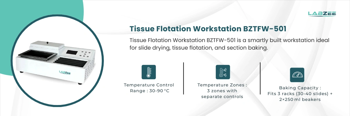 Tissue Flotation Workstation BZTFW-501